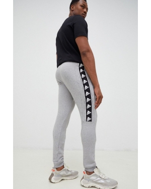 adidas spodnie dresowe bawełniane kolor szary z nadrukiem