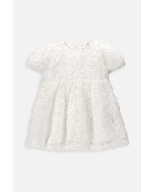 Coccodrillo sukienka niemowlęca kolor beżowy mini rozkloszowana